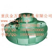 T、TL系列電機(jī)