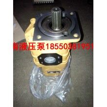 山東龍工機械專用液壓齒輪泵CBGJ3100/1010液壓泵廠家價格