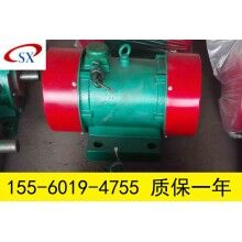 YZS-50-6振動(dòng)電機(jī) 3.7KW振打電機(jī)廠家